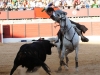 burgo12_13