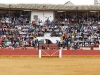 cabra14_5
