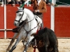 candeleda14_10