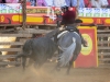 colima12_2
