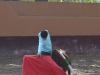 concentrado_2