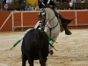 coru11_10