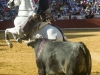 cuenca10_1