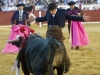 cuenca10_13