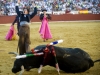 cuenca10_14