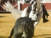 cuenca10_3