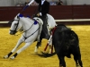 dbenito2012_05