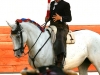 donbenito2013_03