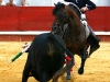 donbenito2013_08
