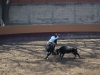 entrenamiento12_1