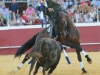 escacena12_12