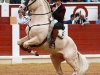 gijon13_12