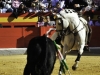 fgranada11_6