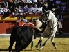 fgranada11_7