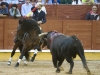 guadalajara10_11