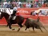 guada12_1