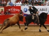 guada12_13