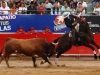guada12_14