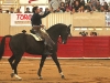 moro11_1