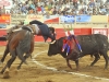 moro11_6