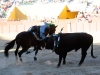 guadasep12_05
