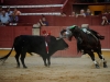 guadasep12_11
