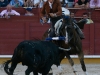 guadaja2013_12