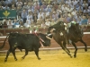 huelva10_11