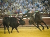 huelva10_12