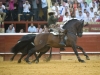 huelva10_1_0
