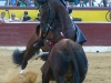 huesca13_08