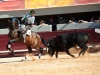 istres12_03