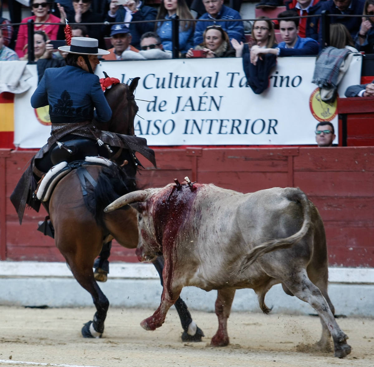 Jaen014