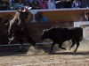 jalos11_1