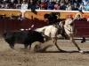 jalos11_7