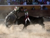 jalos11_8
