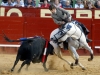jerez14