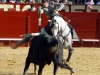 jerez2