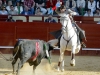 jerez7