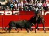 jerez13_03