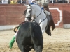 ledesma10_10