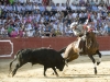 ledesma10_4