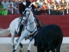 ledesma13_10