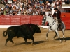 ledesma13_6