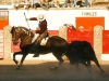 ledesma13_8