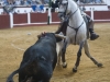 leon10_13