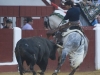 leon10_14