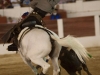 linares12_13