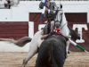 linares12_6