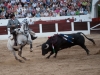 linares12_9